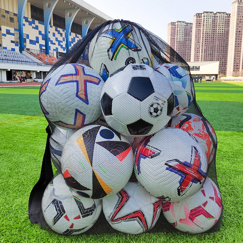 Borsa da Allenamento di Grande - Gym Ball recensione e prezzo